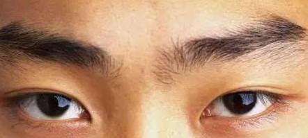 眉毛生得凌乱的人运势也会差吗