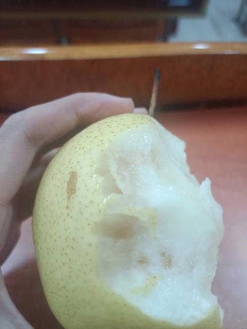 梦见自己摘一个个烂梨又扔了