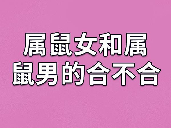 属鼠女最适合《楚乔传》中的哪个男生