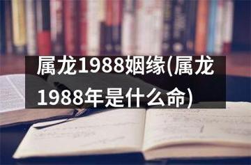 1988年属龙的是什么命