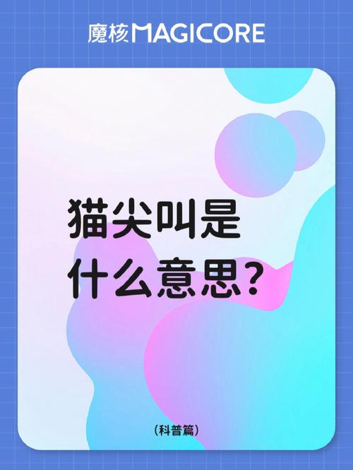 梦见猫在尖叫