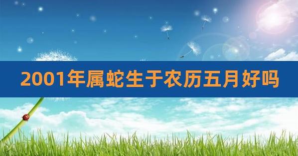 属蛇农历五月出生好吗