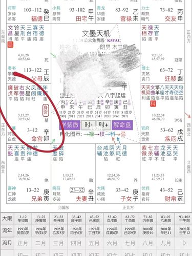 紫微命理——二曜同临格