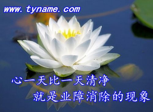 消业障的十三种表现