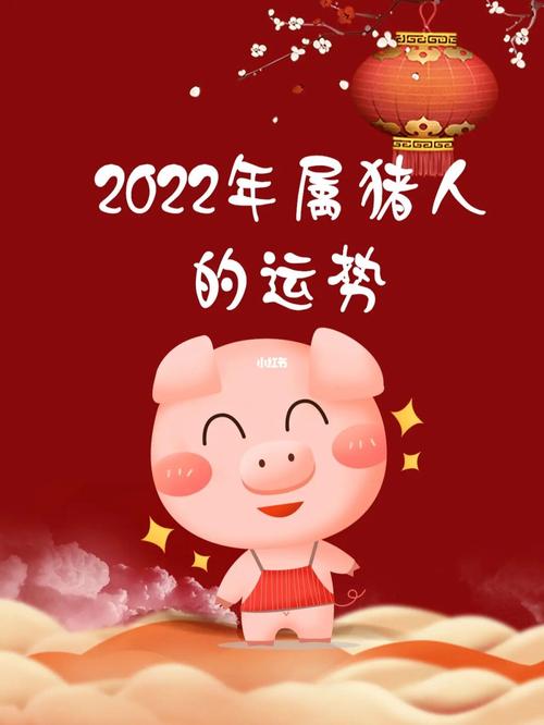 属猪男人2022年2月事业运程预测