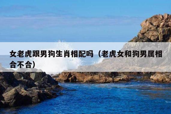 属虎和属狗2021年几月适合结婚?属狗2021年感情顺利吗?