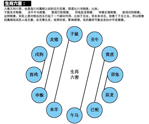子鼠卯兔相刑什么意思