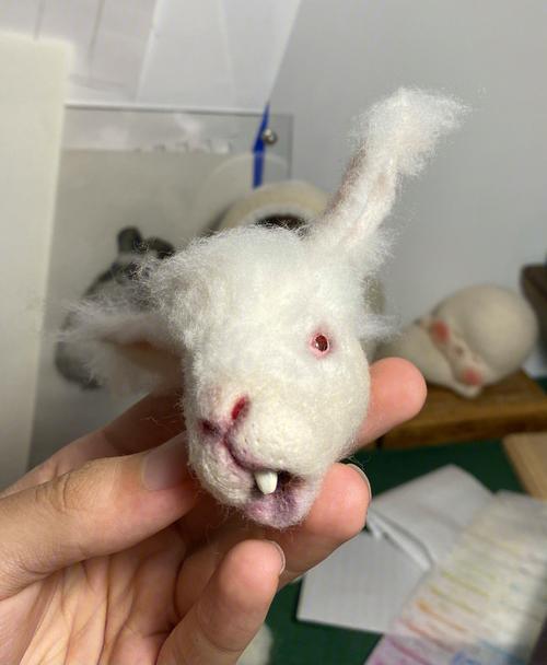 梦见杀兔子 梦见杀兔子溅一身血