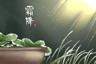 霜降不黄死不黄是什么意思?霜降农事要注意什么?