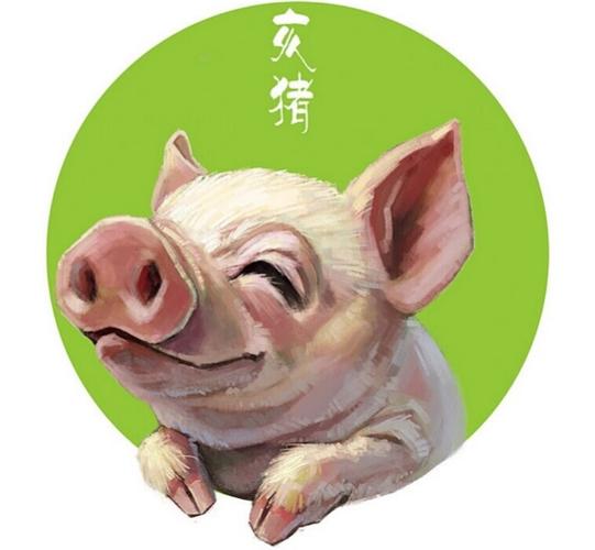 属相猪O血型的人性格如何