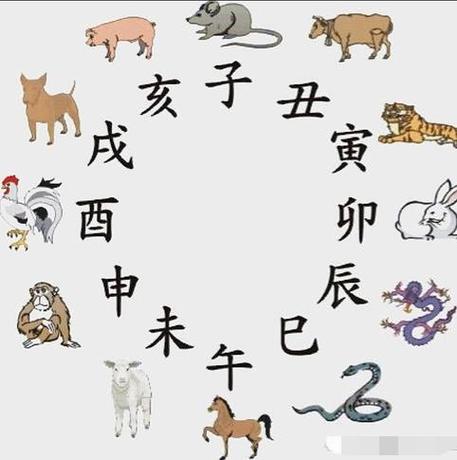 十二生肖是怎么得来的