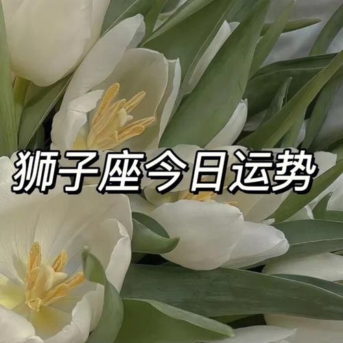 狮子座运势新浪星座