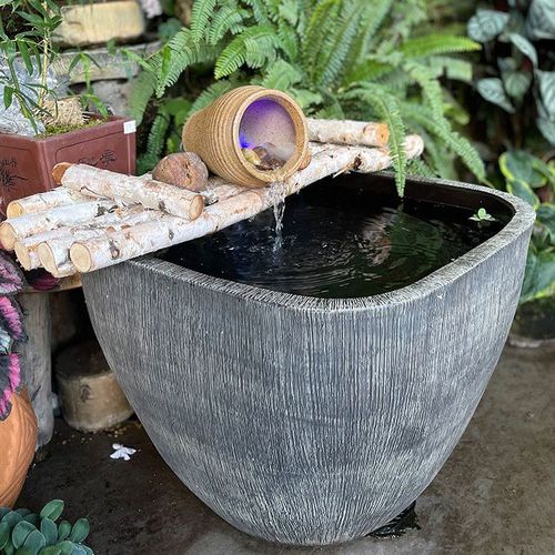家中养鱼风水