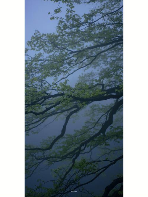 四季轮回是什么肖