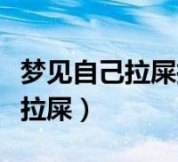 梦见自己在拉屎
