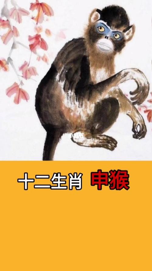 2004年12月出生的人命好不好?关于生肖猴的命理你知道吗?