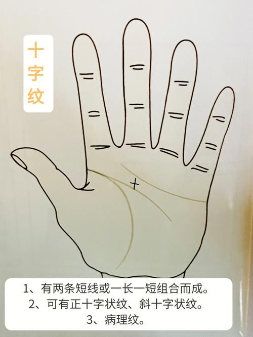 财富纹和十字纹哪种纹路命更好