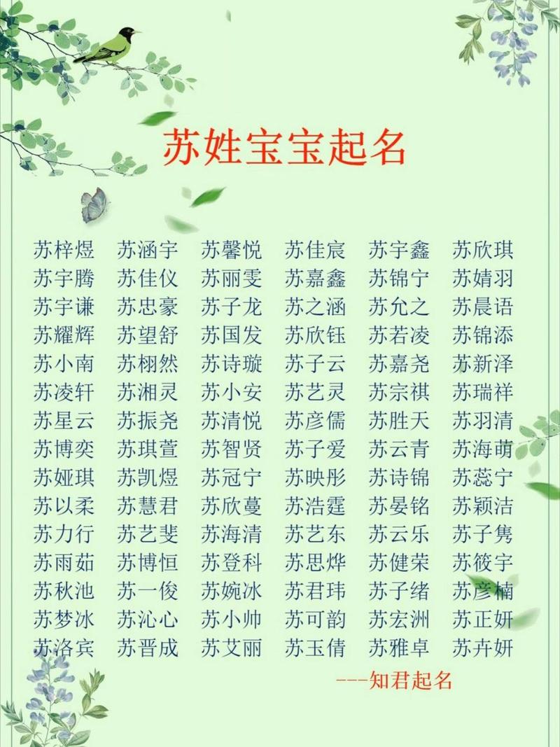姓苏的起名字什么名字好听