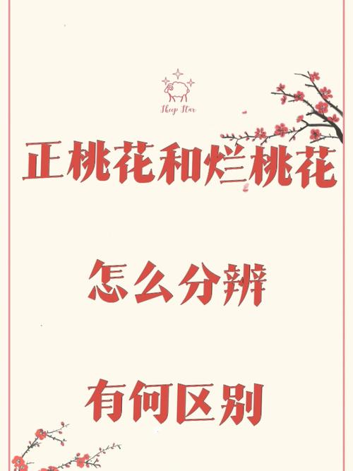 火命人怎么让烂桃花变成正桃花