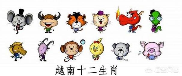 12生肖哪个属相最好,哪个属相最好色,那个最好强?
