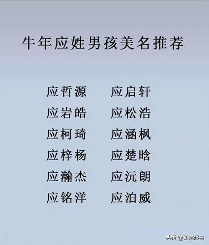 应姓男宝宝怎么起名寓意有出息