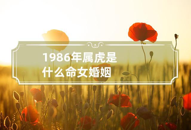 1986年属虎女婚姻