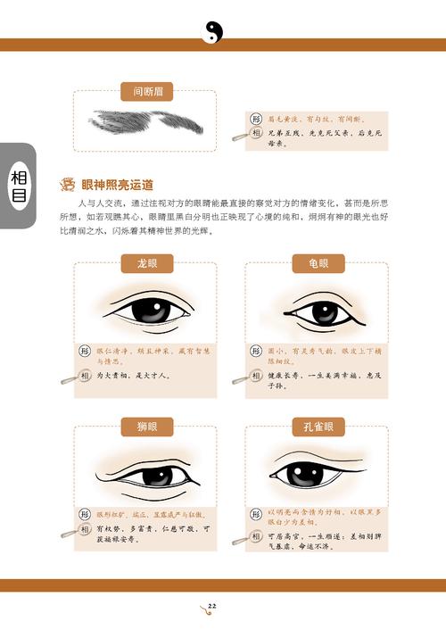 间断眉怎样破解
