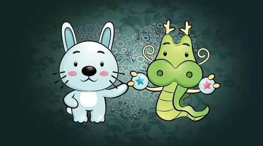 属兔和属龙的合财吗