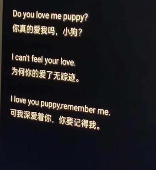 梦到和姐姐一起考试预示着什么