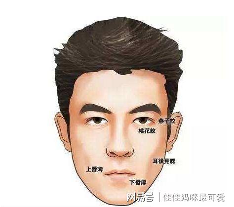 男人面相看鼻子鼻梁塌没有财运吗