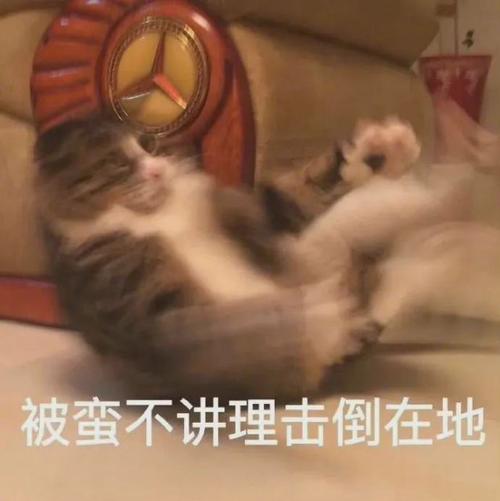 当心!感情让这种属相越来越“蛮不讲理”