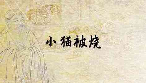梦见烧猫