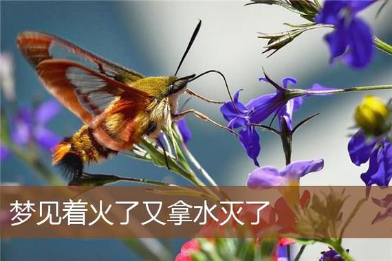 梦见着火拿水灭