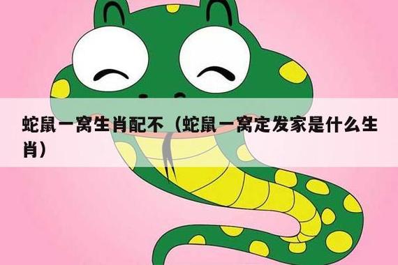 生肖蛇和生肖鼠之间相冲吗