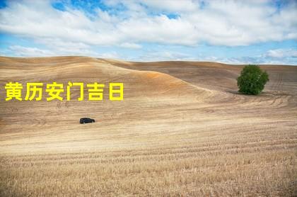 农历十二月初九安门好吗?大门应该往哪个方向开?