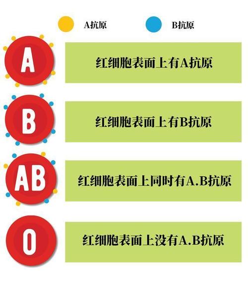 怎么看自己的血型