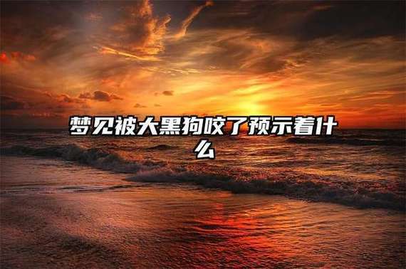 梦见被黑狗咬预示什么