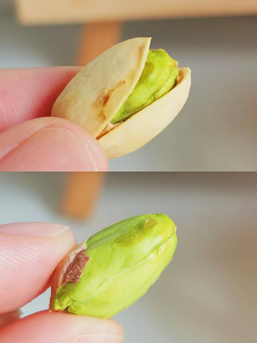 生肖鸡在办公室里都是开心果吗