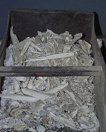 梦见火化尸体是什么意思