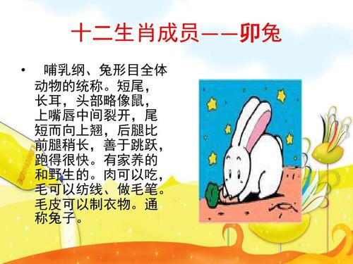 十二生肖中兔子的来历