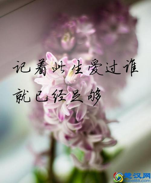 接下来缘分和桃花长相厮守