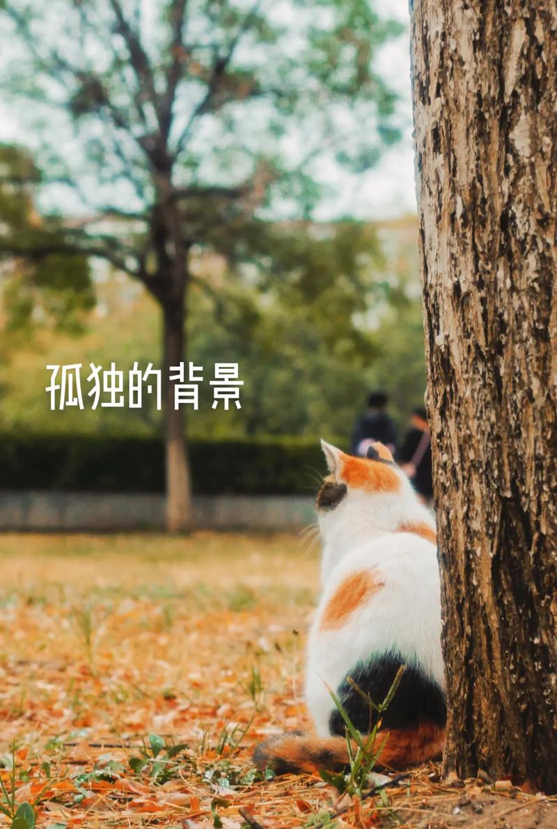 梦见自己到处躲藏是什么意思?