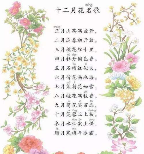 十二月花名歌顺序月份表