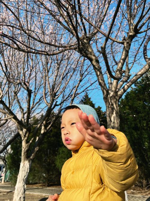 拈花惹草的人什么八字