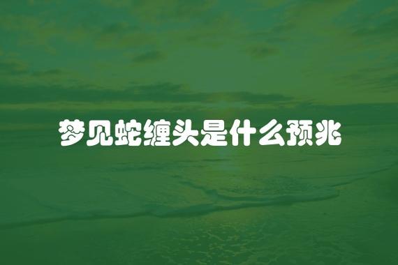 梦见蛇缠头上是什么意思