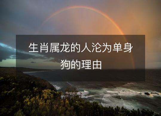 属龙成为单身狗的理由
