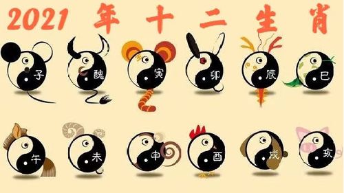 属猪的人开运方法