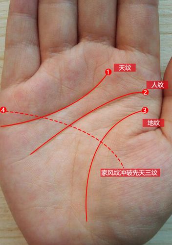 中年婚变丧偶手相