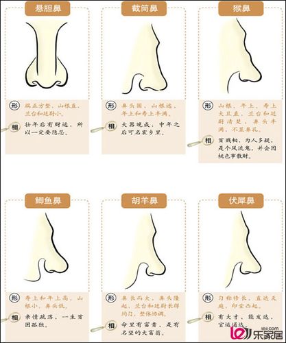 如何从鼻子看人品