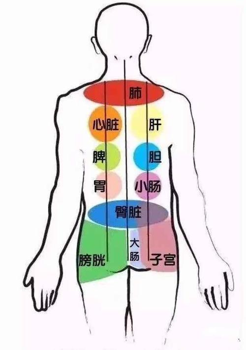 梦见脾脏周公解梦,梦见脾脏是什么意思?